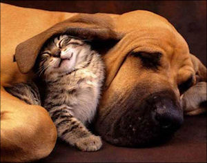 Cute Pictures