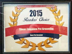 2015 Readers Choice Award Best of the Community Pet Grooming
